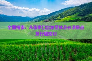 全面指南：从张家口出发至林芝必游景点及行程规划