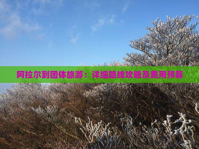 阿拉尔到团体旅游：详细路线攻略及费用预算