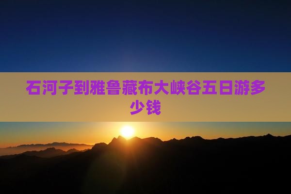 石河子到雅鲁藏布大峡谷五日游多少钱