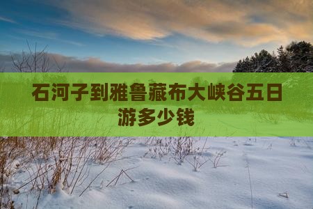 石河子到雅鲁藏布大峡谷五日游多少钱