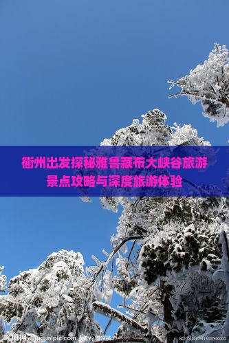 衢州出发探秘雅鲁藏布大峡谷旅游景点攻略与深度旅游体验