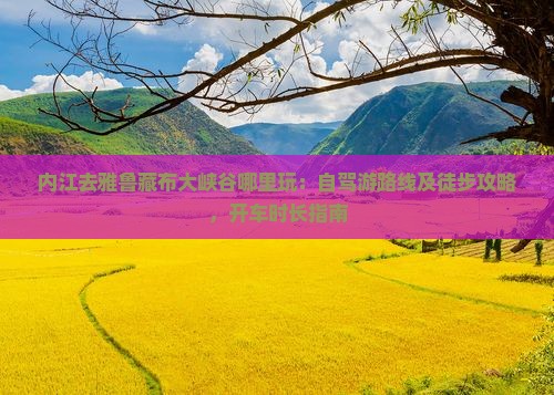 内江去雅鲁藏布大峡谷哪里玩：自驾游路线及徒步攻略，开车时长指南