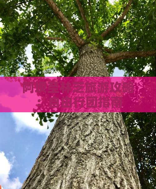 阿坝至林芝旅游攻略：自由行团指南