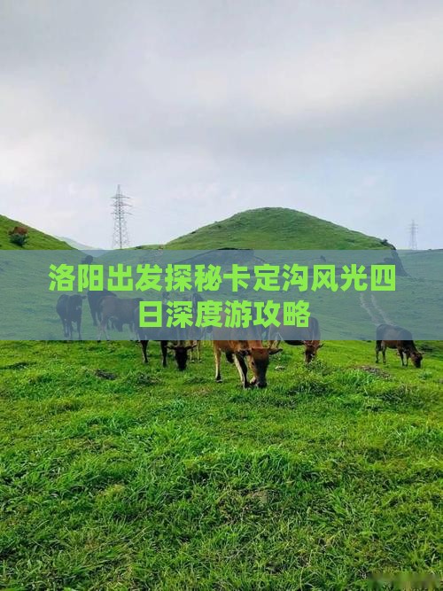 洛阳出发探秘卡定沟风光四日深度游攻略