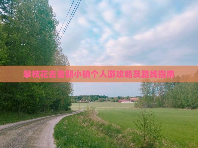 攀枝花去鲁朗小镇个人游攻略及路线指南