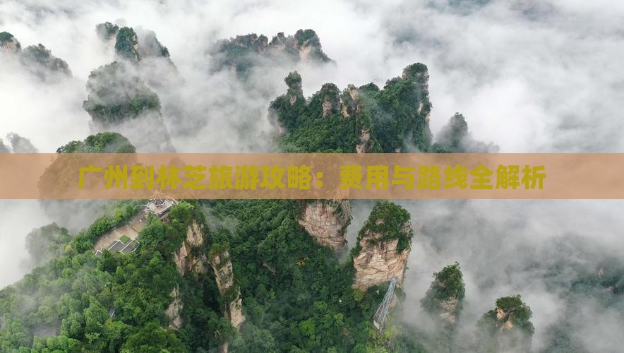 广州到林芝旅游攻略：费用与路线全解析