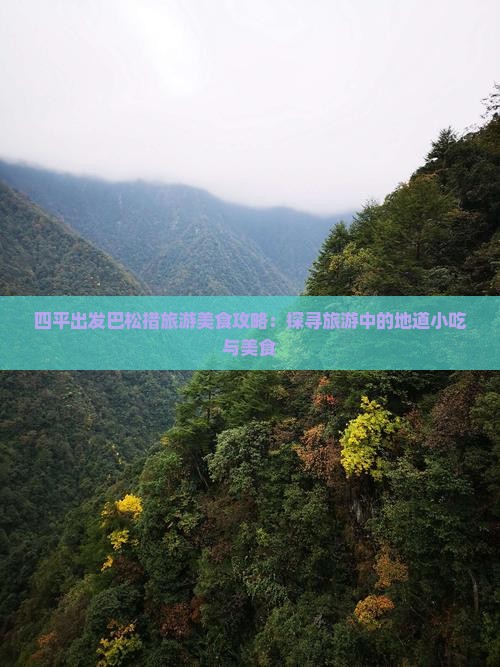 四平出发巴松措旅游美食攻略：探寻旅游中的地道小吃与美食