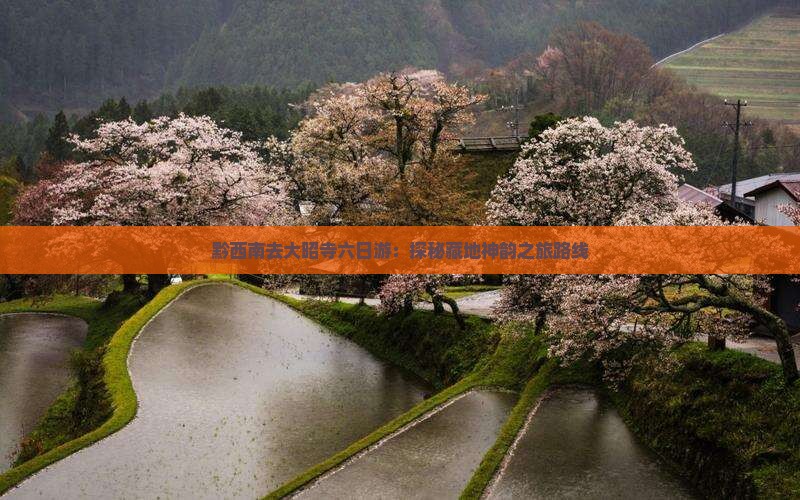 黔西南去大昭寺六日游:探秘藏地神韵之旅路线 黔西南去大昭寺六日游:探秘藏地神韵之旅路线