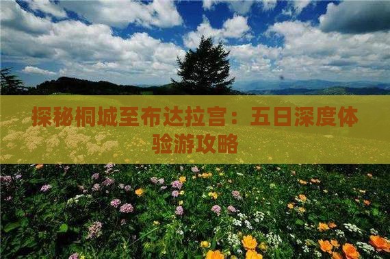 探秘桐城至布达拉宫：五日深度体验游攻略