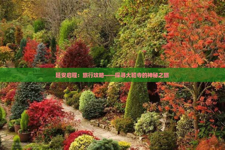 延安启程：旅行攻略——探寻大昭寺的神秘之旅