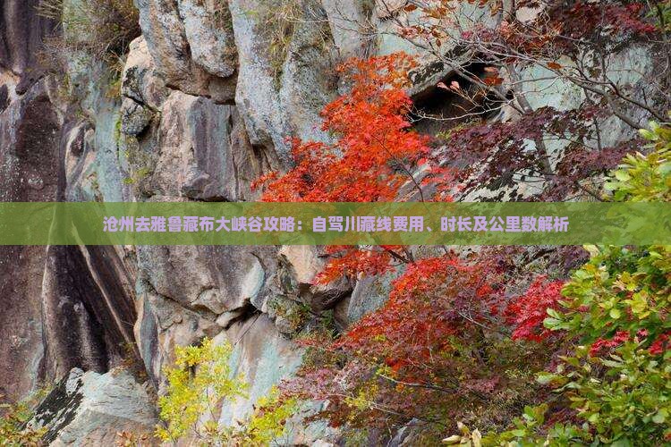 沧州去雅鲁藏布大峡谷攻略：自驾川藏线费用、时长及公里数解析