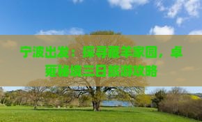 宁波出发：探寻藏羊家园，卓雍秘境三日旅游攻略