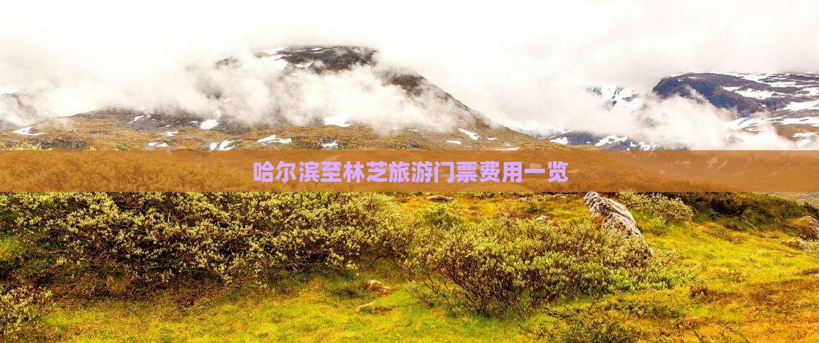 哈尔滨至林芝旅游门票费用一览