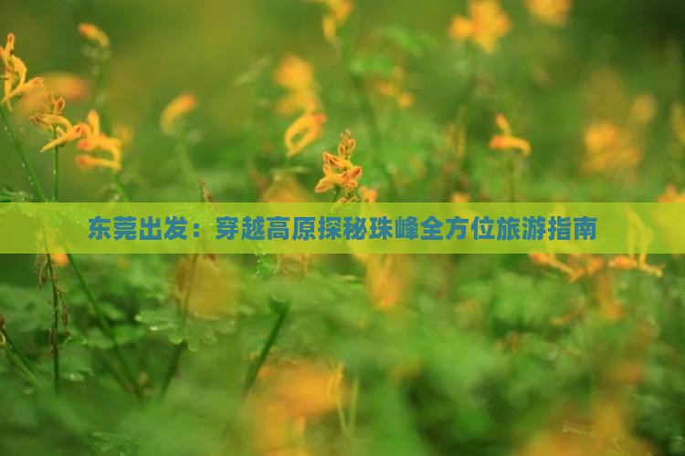 东莞出发：穿越高原探秘珠峰全方位旅游指南