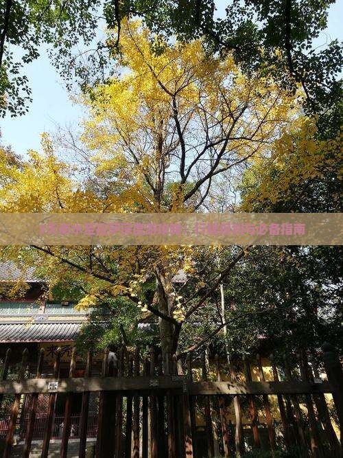 3天衡水至拉萨深度游攻略：行程规划与必备指南