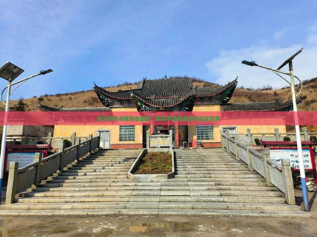 冬天到羊卓雍措自由团：探讨羊卓雍措冬季结冰现象