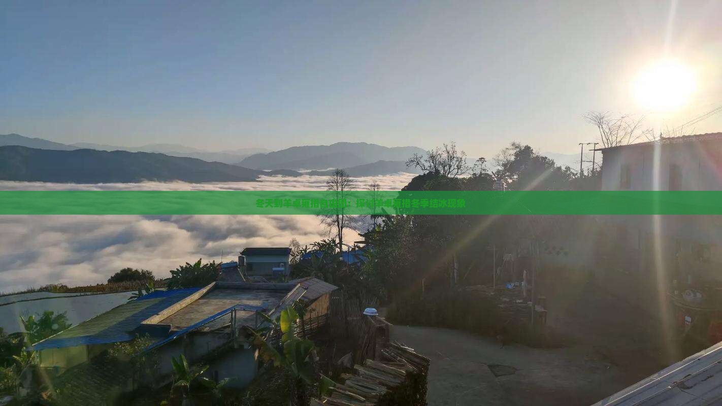 冬天到羊卓雍措自由团：探讨羊卓雍措冬季结冰现象