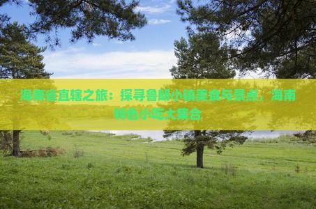 海南省直辖之旅：探寻鲁朗小镇美食与景点，海南特色小吃大集合