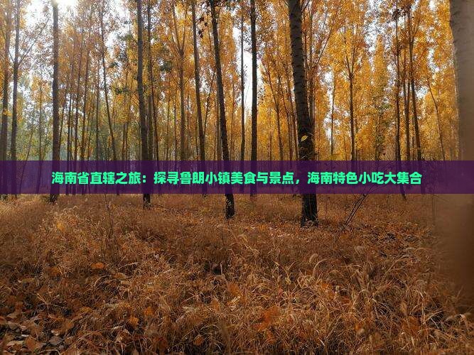 海南省直辖之旅：探寻鲁朗小镇美食与景点，海南特色小吃大集合