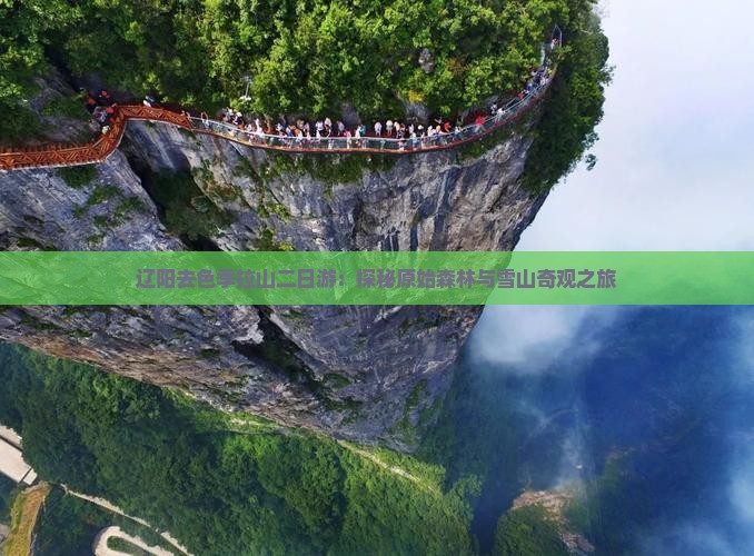 辽阳去色季拉山二日游：探秘原始森林与雪山奇观之旅