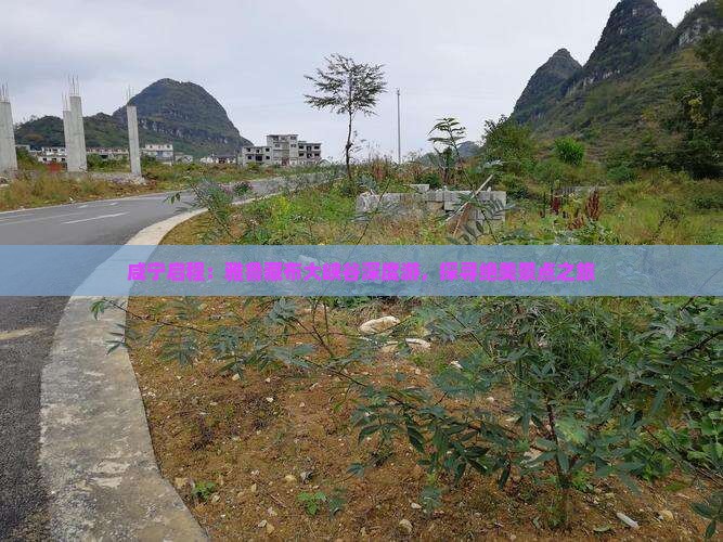 咸宁启程：雅鲁藏布大峡谷深度游，探寻绝美景点之旅