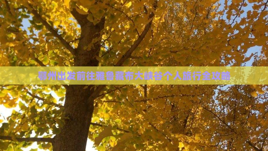 鄂州出发前往雅鲁藏布大峡谷个人旅行全攻略