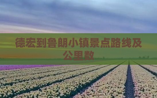 德宏到鲁朗小镇景点路线及公里数