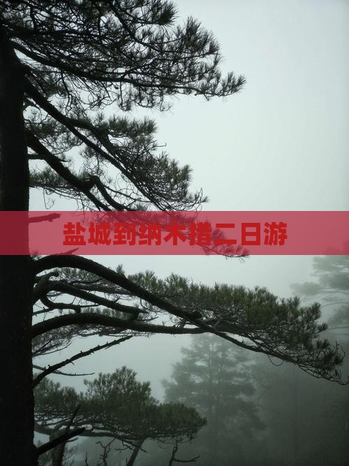盐城到纳木措二日游