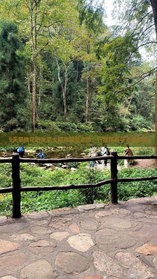 5天攀枝花出发至大昭寺朝圣之旅：行程详解与必备攻略