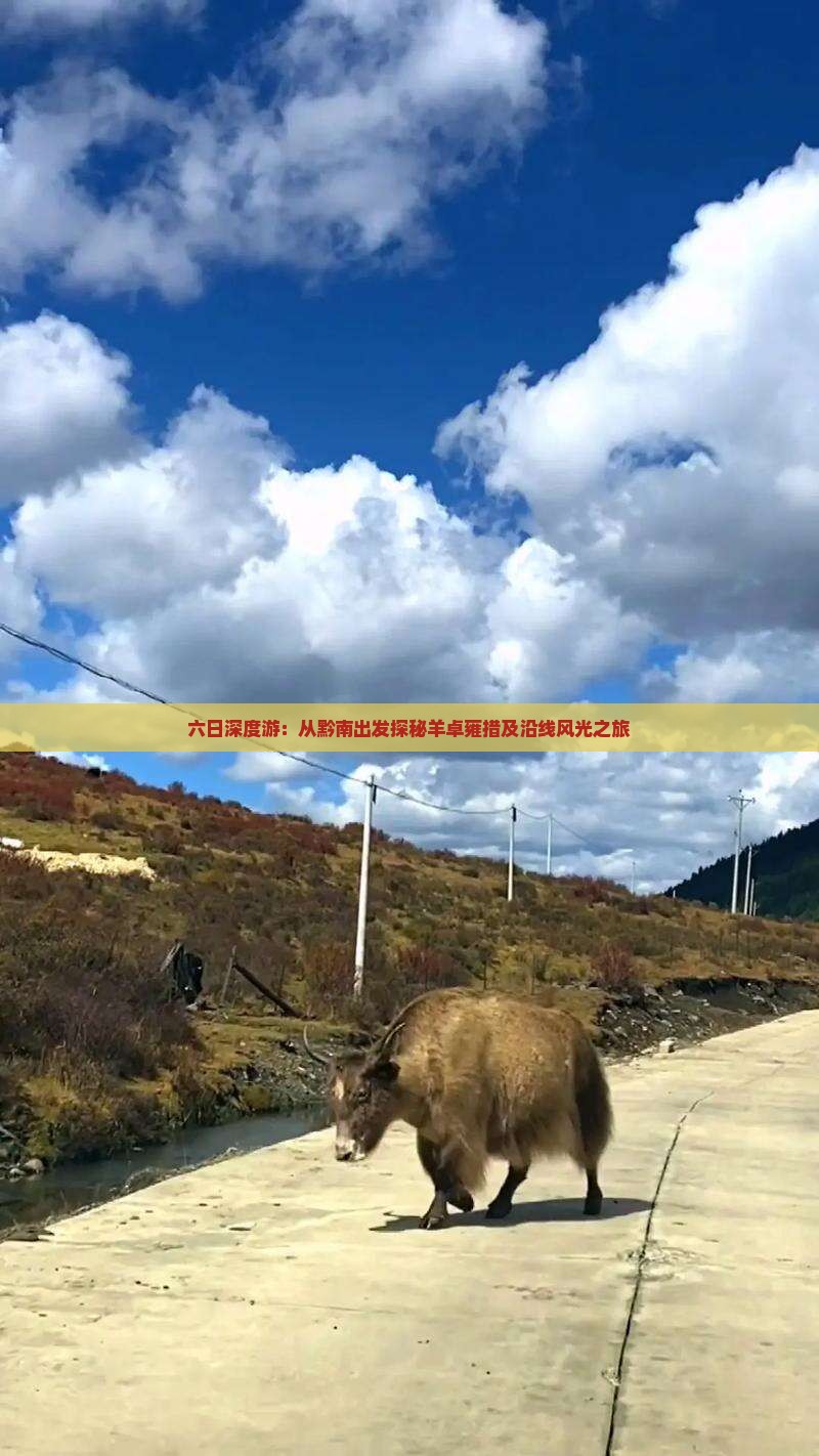 六日深度游：从黔南出发探秘羊卓雍措及沿线风光之旅