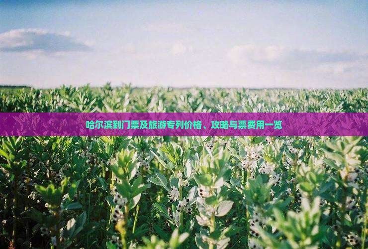 哈尔滨到门票及旅游专列价格、攻略与票费用一览