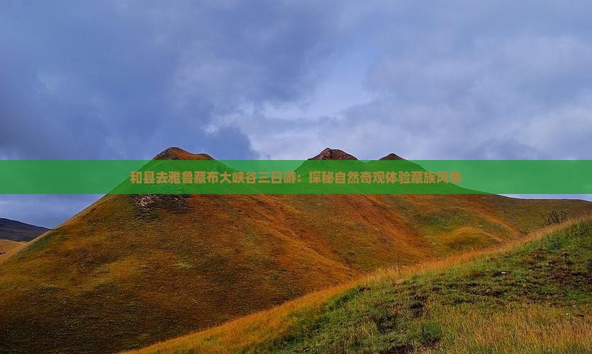 和县去雅鲁藏布大峡谷三日游：探秘自然奇观体验藏族风情