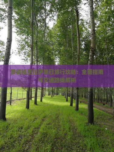 景德镇至拉萨单日旅行攻略：全面指南与交通路线解析