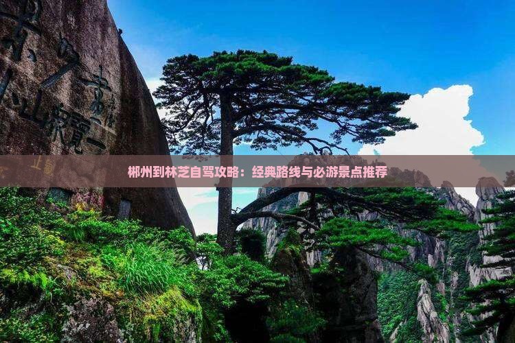 郴州到林芝自驾攻略：经典路线与必游景点推荐