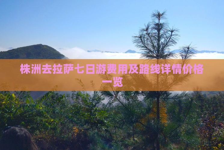株洲去拉萨七日游费用及路线详情价格一览
