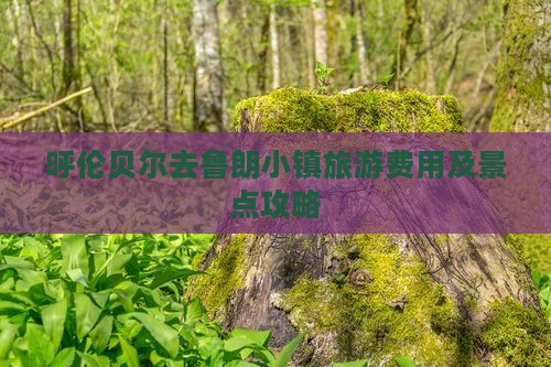 呼伦贝尔去鲁朗小镇旅游费用及景点攻略