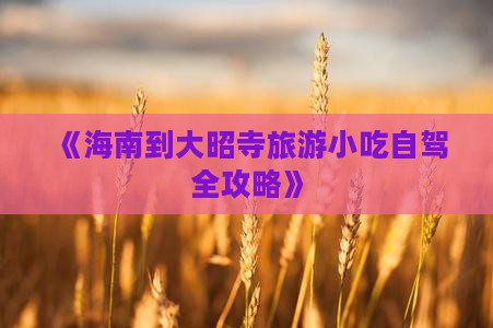 《海南到大昭寺旅游小吃自驾全攻略》 《海南到大昭寺旅游小吃自驾全攻略》