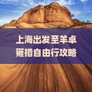 上海出发至羊卓雍措自由行攻略与行程规划指南