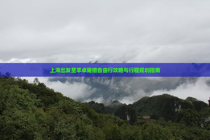 上海出发至羊卓雍措自由行攻略与行程规划指南