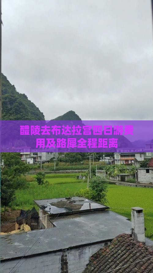 醴陵去布达拉宫四日游费用及路犀全程距离