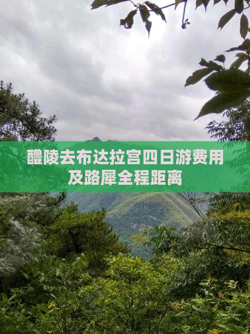 醴陵去布达拉宫四日游费用及路犀全程距离