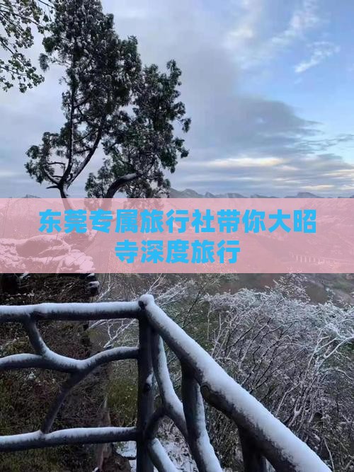 东莞专属旅行社带你大昭寺深度旅行