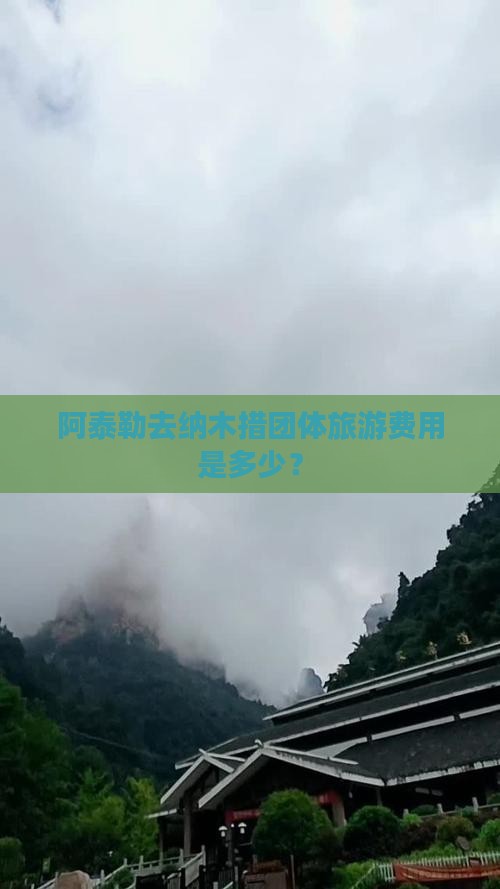 阿泰勒去纳木措团体旅游费用是多少？