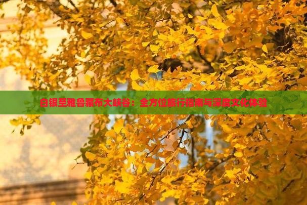 白银至雅鲁藏布大峡谷：全方位旅行指南与深度文化体验
