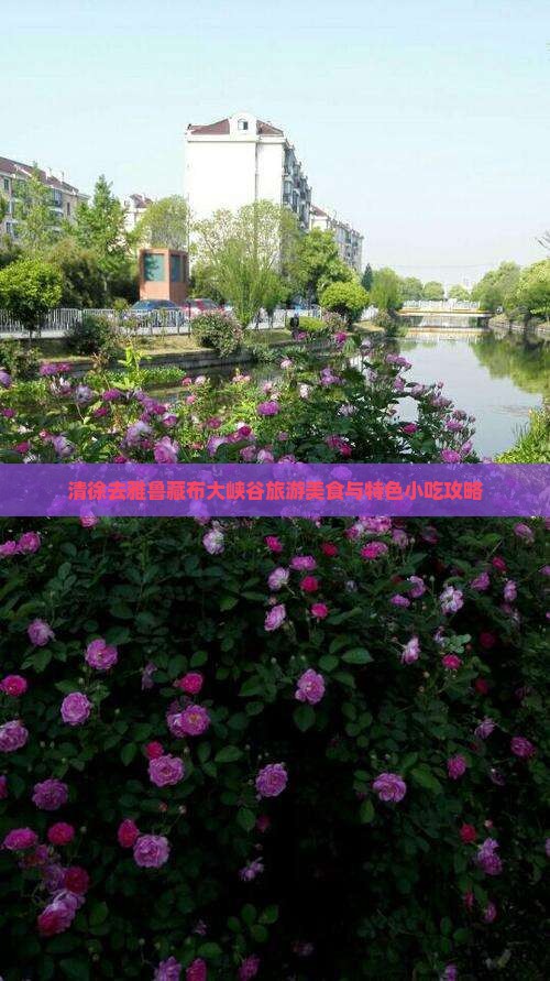 清徐去雅鲁藏布大峡谷旅游美食与特色小吃攻略
