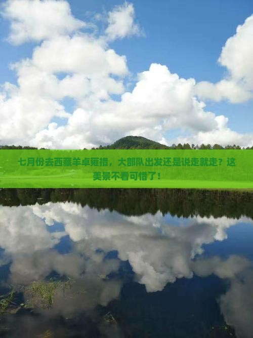 七月到西藏羊卓雍措大型旅游团
