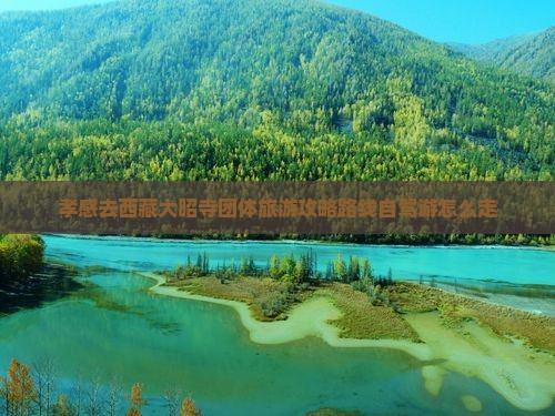 孝感去西藏大昭寺团体旅游