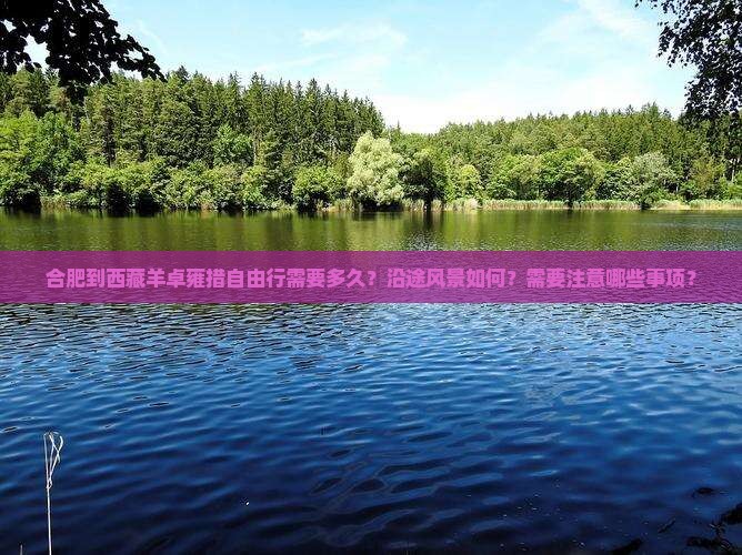 合肥到西藏羊卓雍措自由行
