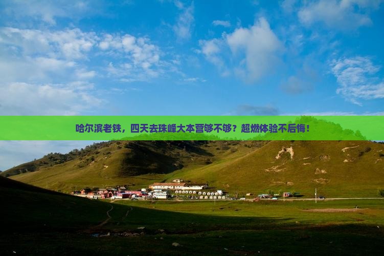 哈尔滨到西藏珠峰大本营四日游