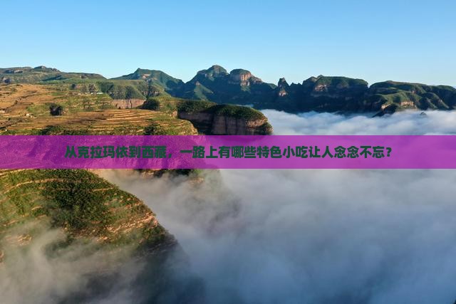 克拉玛依去西藏旅游小吃